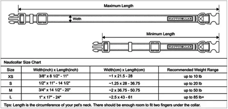 How do you Measure a Dog for a Collar 