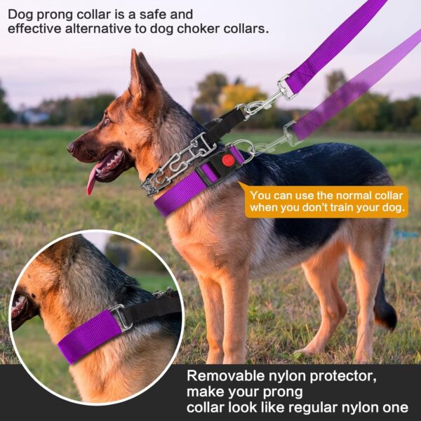 Prong training dog collar