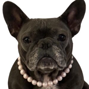 Dog Necklace (Medium (16-18"), Solid, Pink Pearl)