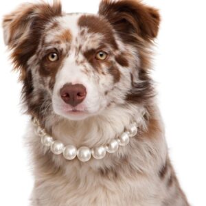 KUDES Exquisite and Adjustable Dog Necklace: Elegant Classic Pearl Collar