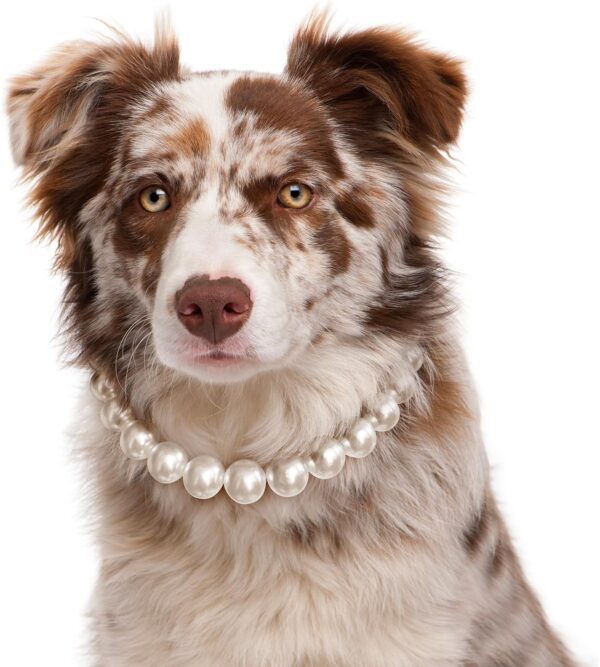 KUDES Exquisite and Adjustable Dog Necklace: Elegant Classic Pearl Collar