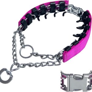 Prong Training Collar for Dogs, Adjustable Dog Pinch Collar with Quick