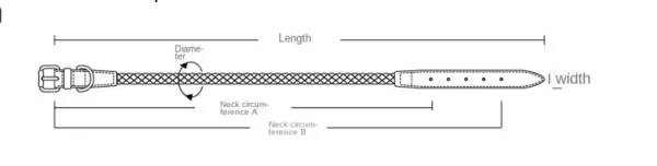 Rolled Leather Dog Dollar chart